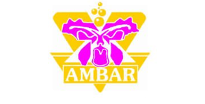 Taxiboy organizaciones